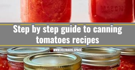 Best fresh tomato recipes for summer harvest