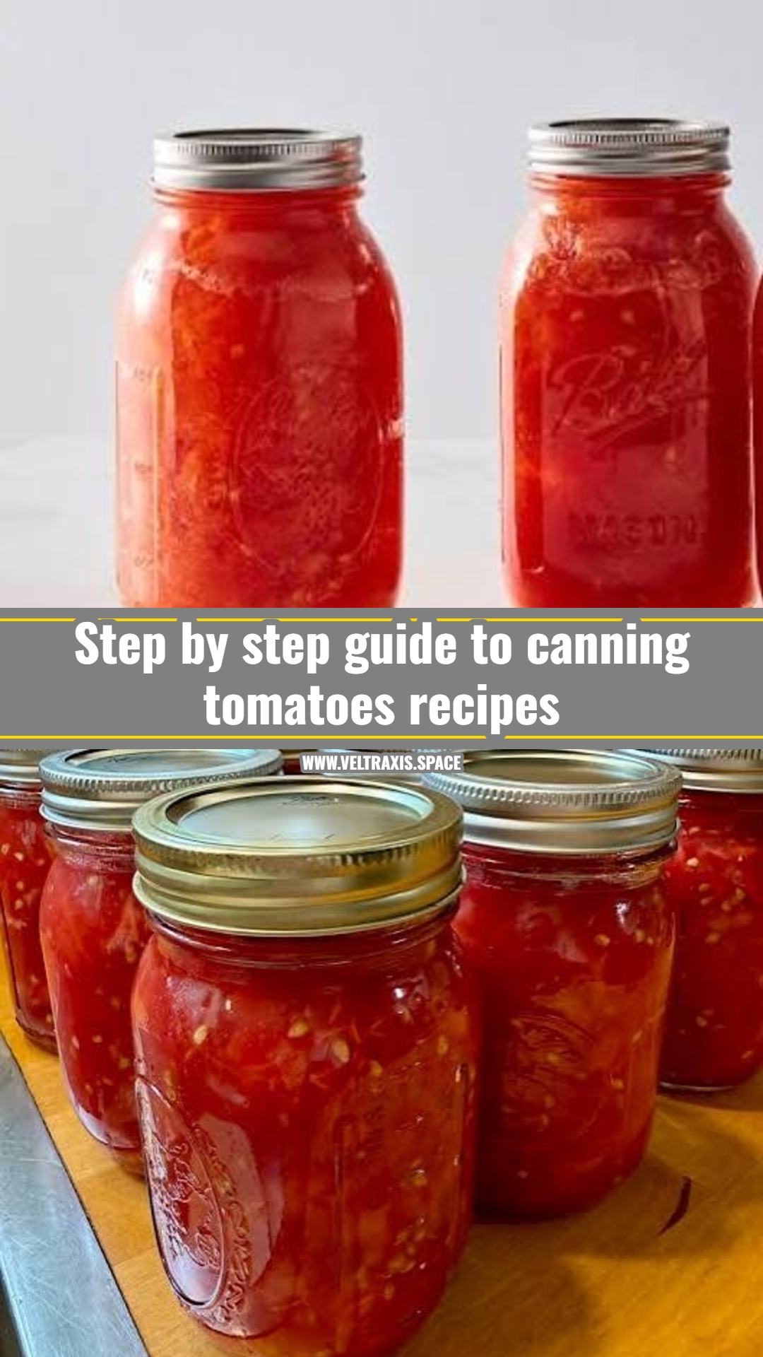 Best fresh tomato recipes for summer harvest