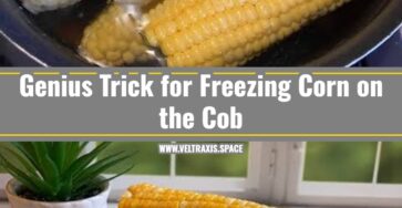 How to Freeze Corn on the Cob the Easy Way