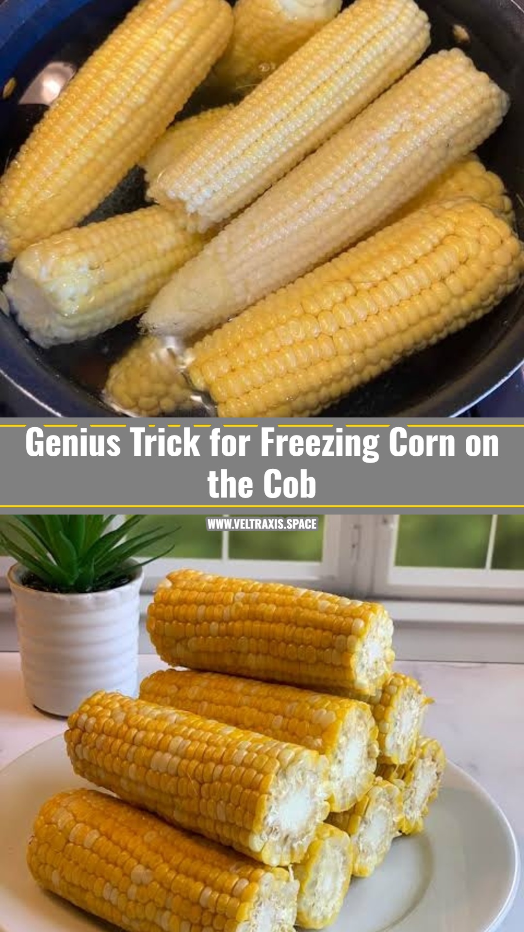 How to Freeze Corn on the Cob the Easy Way