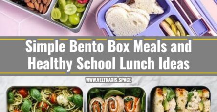 Bento Box Meals and Healthy School Lunch Ideas Kids Love