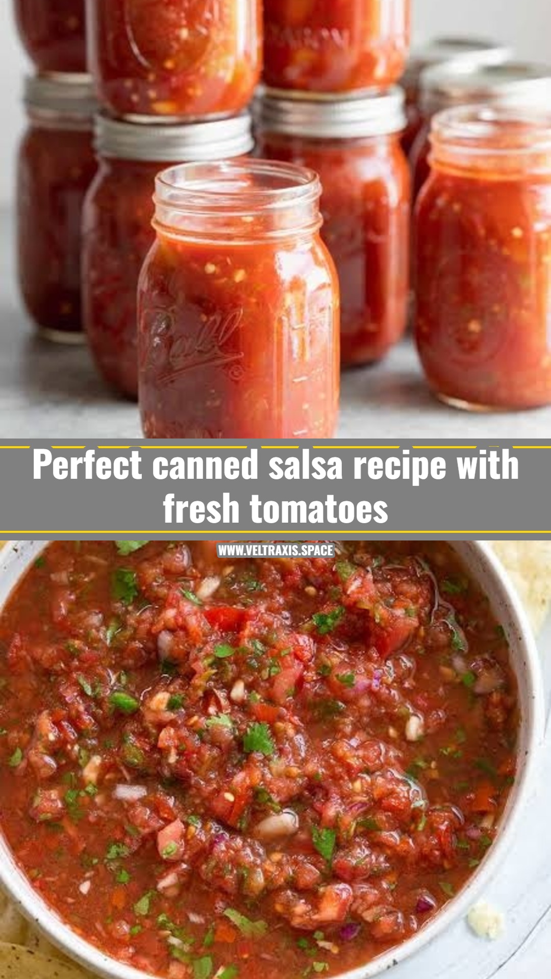 Best canned salsa recipe with fresh tomatoes