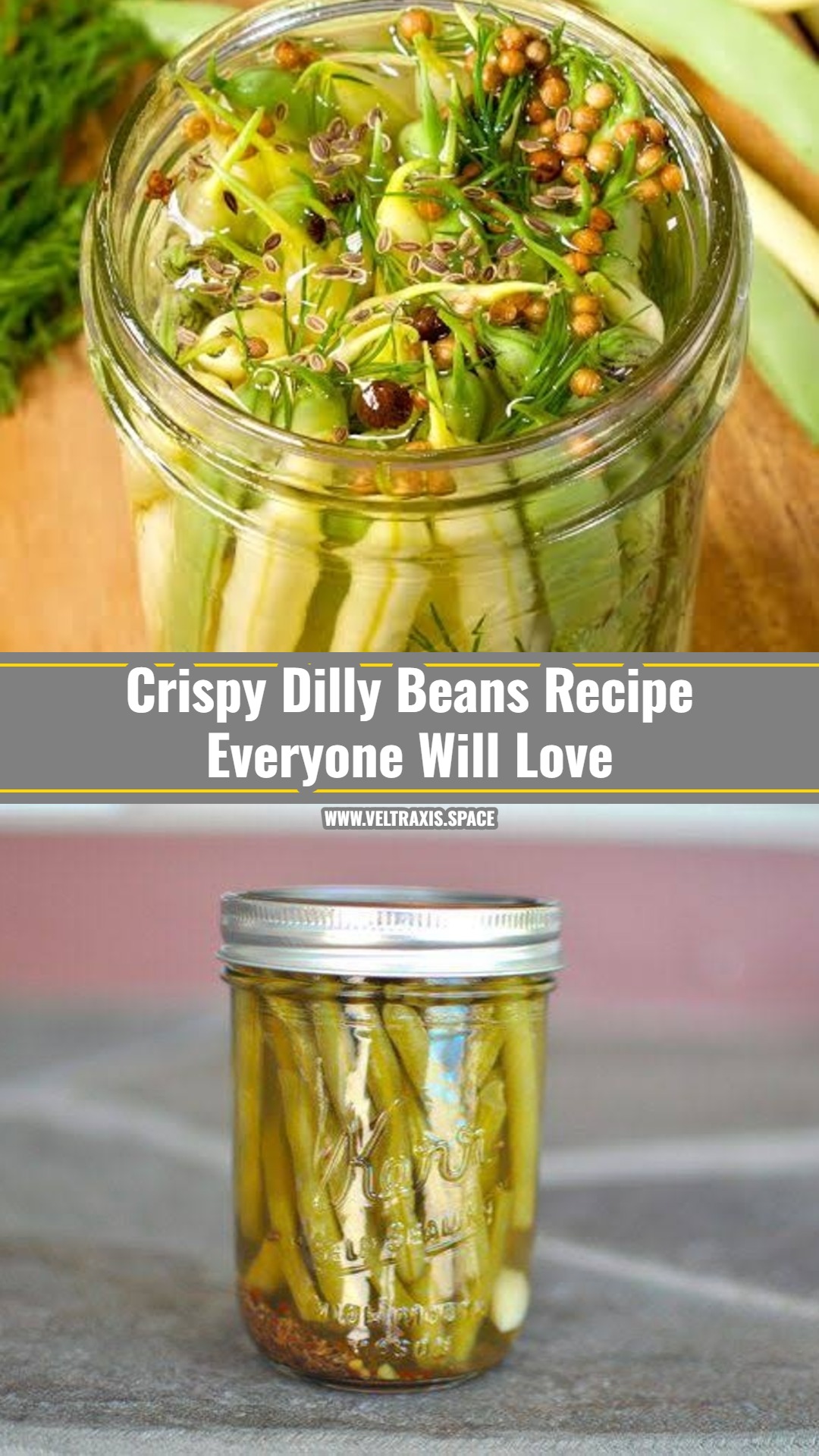 Easy Dilly Beans Recipe For Beginners