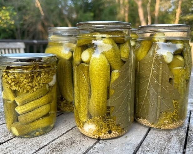 Easy Homemade Pickles You Will Make Every Year top view